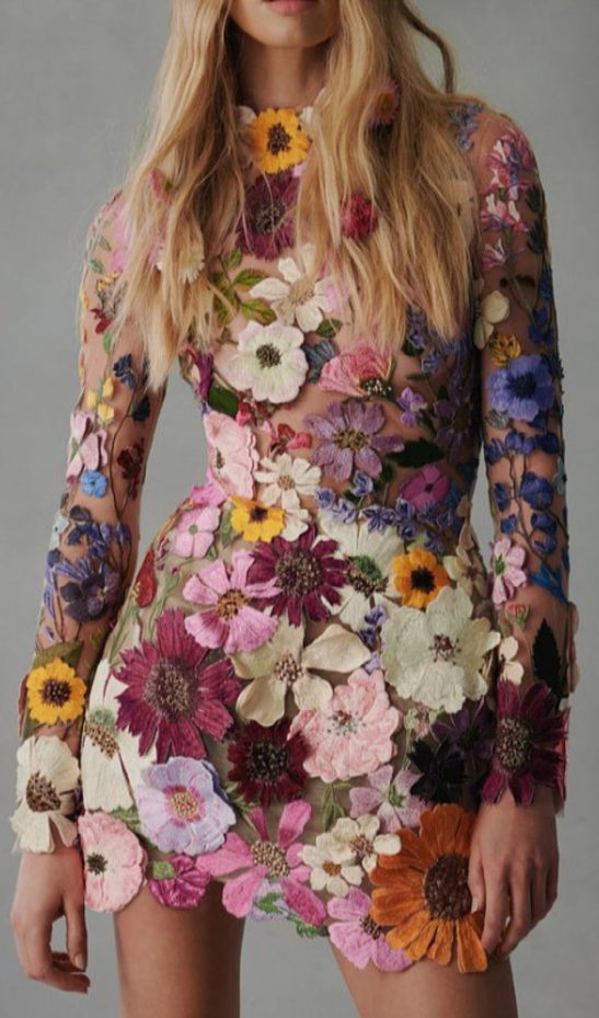 Embroidered Lace Half High Collar Mini Dress